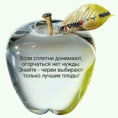 рчаться нет нужды наите черви выбирают