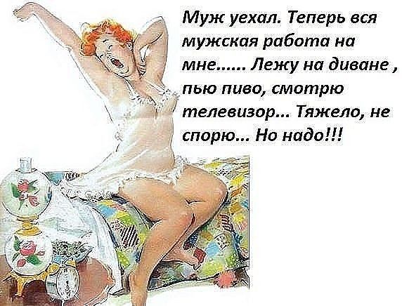 Муж уехал Теперь вся мужская работа на мне Лежу на диване _ пью пиво смотрю телевизор Тяжело не спорю Но надо