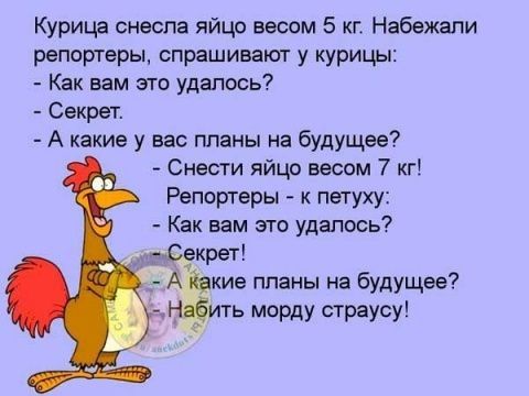 Курица снеспа яйцо весом 5 кг Набежали репортеры спрашивают у курицы Как вам это удалось Секрет А какие у вас планы на будущее Снести яйцо весом 7 кг Репортеры к петуху Как вам это удалось тСекрет Аівкие планы на будущее НЁИТЬ морду страусу