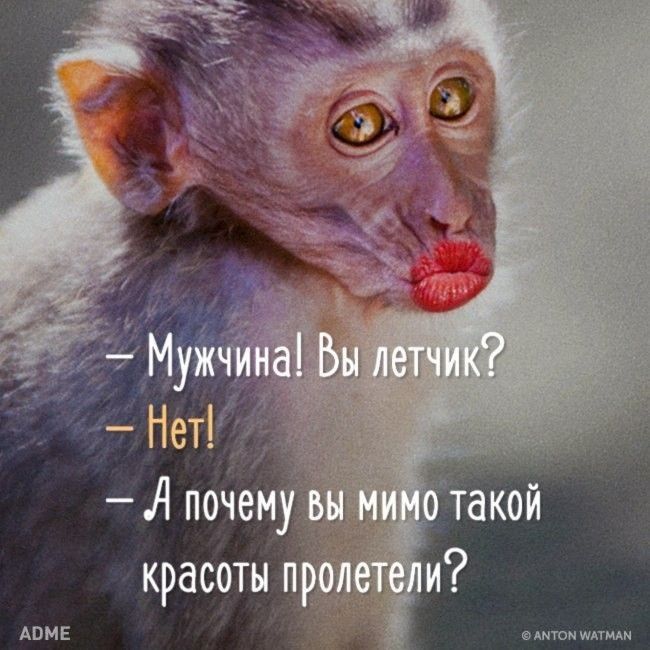 АНТОН или