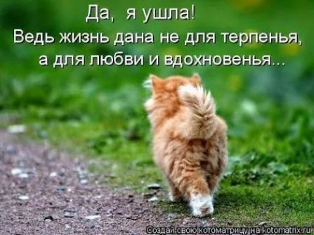 Да я ушла Ведь жизнь дана не для терпеньяы з дня 063 и вдотовеньж
