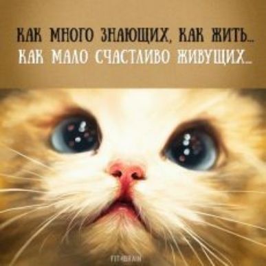 КВП И