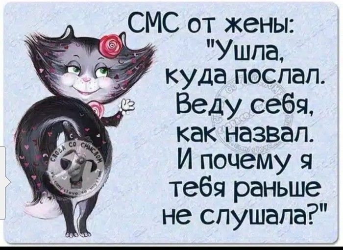 СМС от жены Ушла куда поспал Веду себя как назвал И почему я тебя раньше не слушала _ _ __