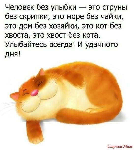 Человек без улыбки это сгруны без скрипки это море без чайки это дом без хозяйки это кот без хвосга это хвосг без кота Улыбайтесь всегда И удачного дня Стрит Мим
