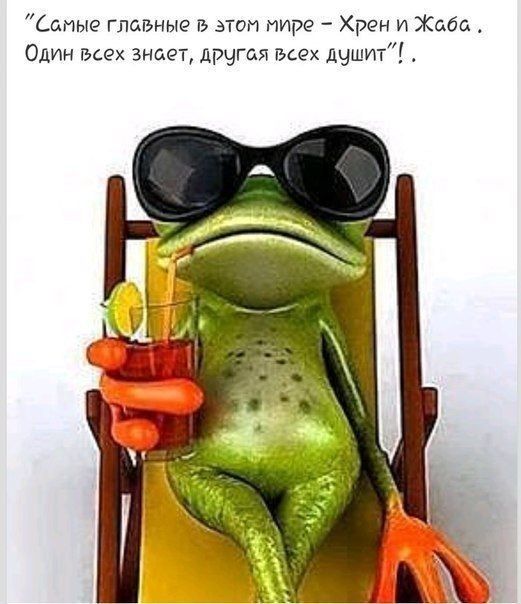 _дпые главные гв этом мире Хрен и Жаба Один всех знает дРЧгая всех дчшит