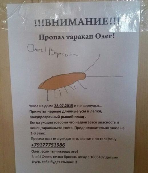 ВНИМАНИЕ Прош таракан Одет О Вт