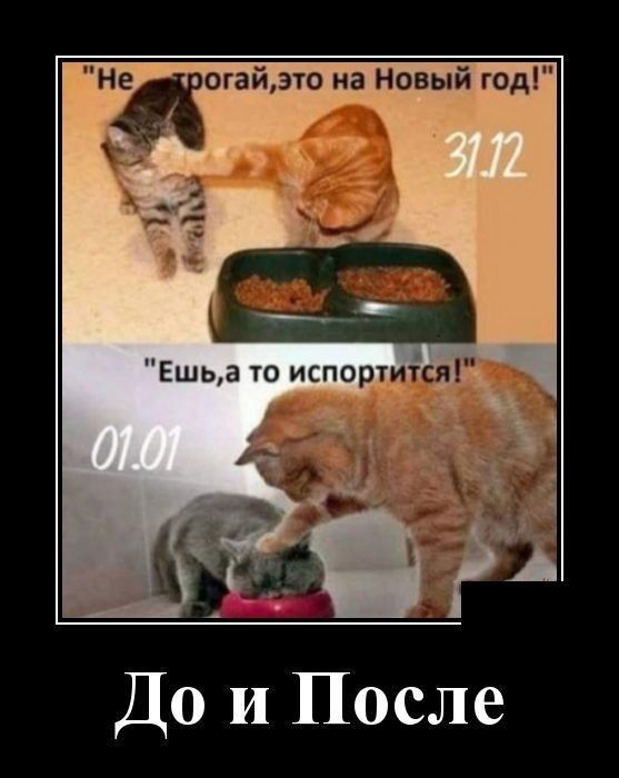 Нщогайдто на Новый год До и После