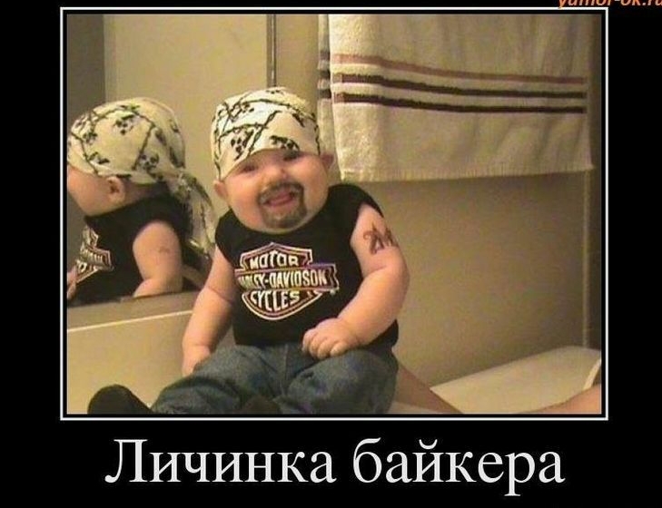 Личинка байкера