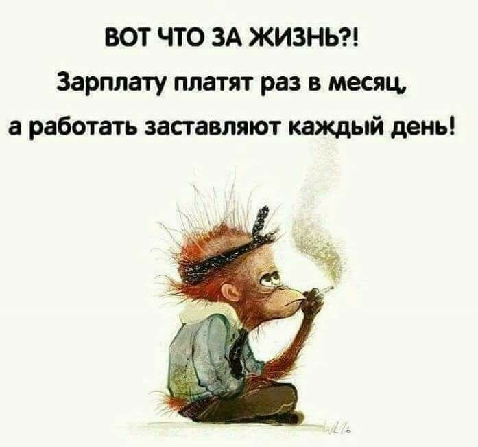 ВОТ ЧТО ЗА ЖИЗНЬ Зарплату платят раз в месяц а работать заставляют каждый день