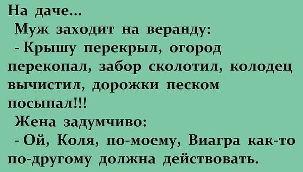 На даче Муж заходит на веранду Крышу перекрыл огород перекопал забор сколотил колодец вычистил дорожки песком посыпал Жена задумчиво Ой Коля помоему Виагра както подругому должна действовать