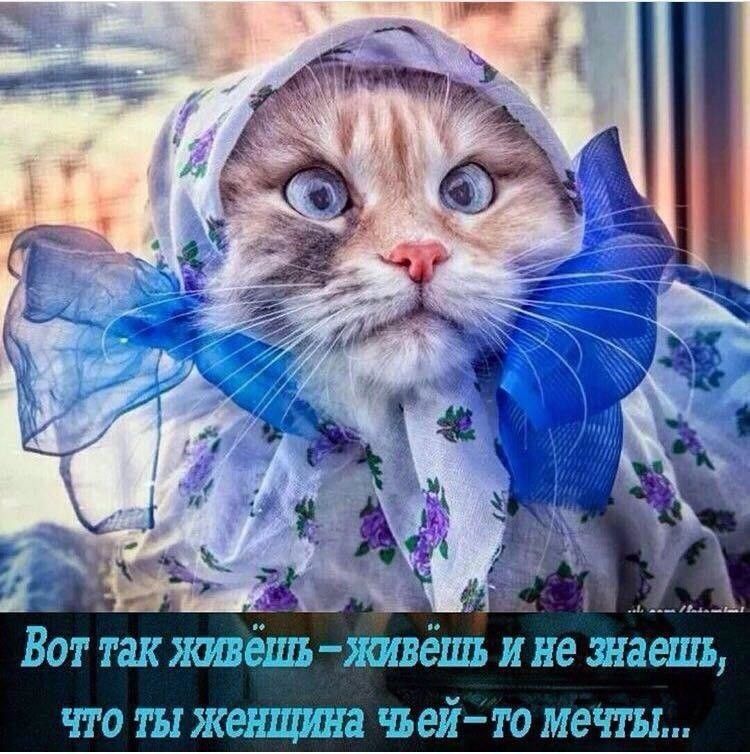 ВОТ МИ МБШ ЖИВЁШЪ И не шведа ЧТО ТЫ жешцина ЧЮИ ТО МЕЧТЫ