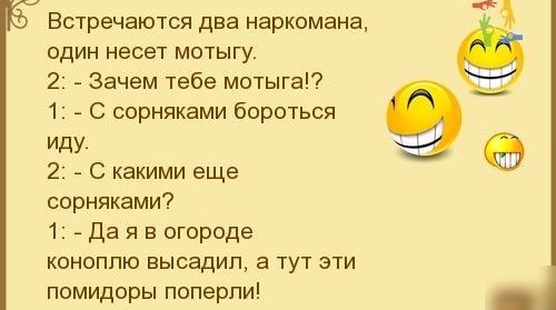 Встречаются два наркомана один несет мотыгу 2 Зачем тебе мотыга7 1 С сорняками бороться 2 С какими еще сорняками 1 да я в огороде коноплю высадил а тут эти помидоры поперли _