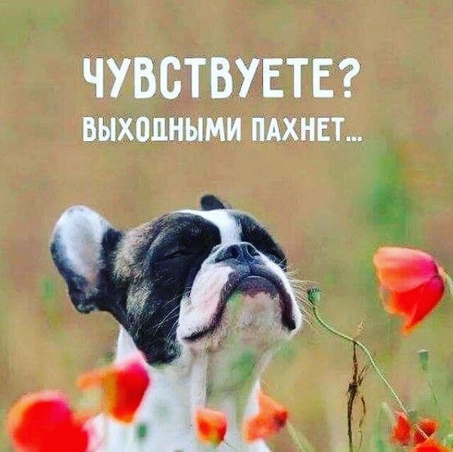 ЧУВСТБУЕТЕ ВЫХЁПНЫМИ ПАХМЕТ