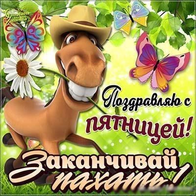 г _ д ціййййчй