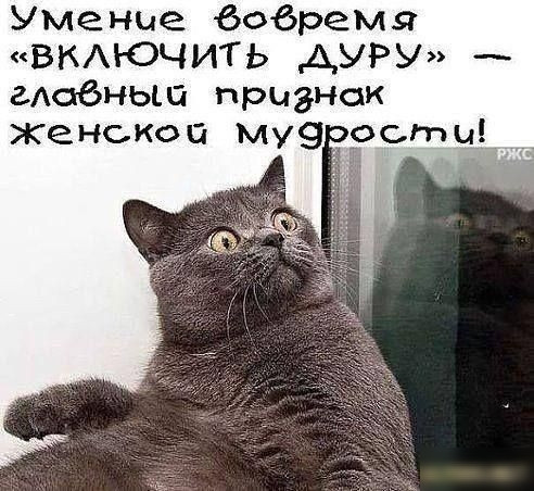 Умение 606ремя ВКАЮЧИТЬ АУРУ адобньш признак Женской Му9 сти