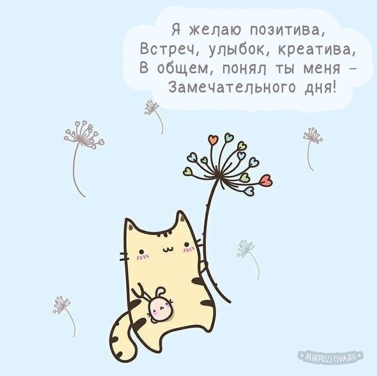 Я желаю позити5а Встреч улыбок креатива В общем понял ты меня Замечательного дня
