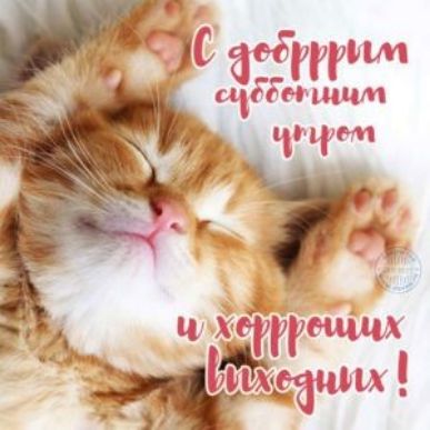 Ь градЮшта ССЁОБЧ шит ЁіііВд Щ ХФЁ ош АРХ ь ЕЪЁЁЁЙФМЦ _