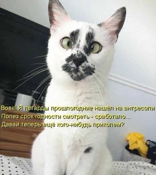 пггресглш сработало ь прикопем