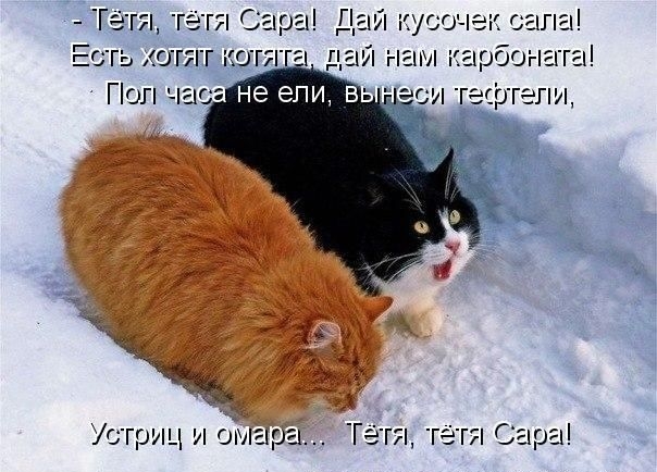 Ге7н гег7і Сара Пил кусшек саг Есгь огяг іюг7 Поп час Усгрициомара Гг7 гег7і Сара