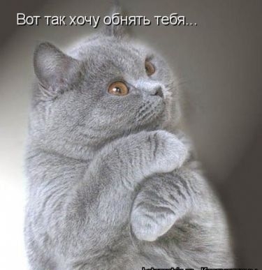 Вот так хочу обнять тебя