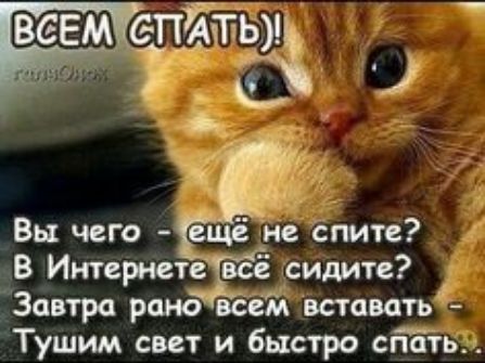 Вы чего ещё не Епите В Интернете все сидите Завтра рано всем вставать Тушим свет и быстро спать