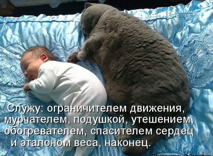 Пдгепем движения 1 _ гушкойутешение _ те 11 спасителем серд П ел веса нёконец