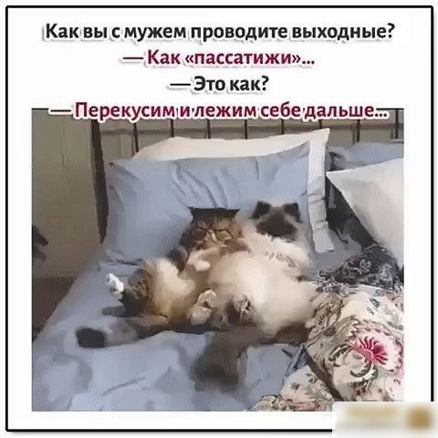 Каквы мужем проводите выходные Как пассатижи Это как Перекусим Ичпежим себедапьше