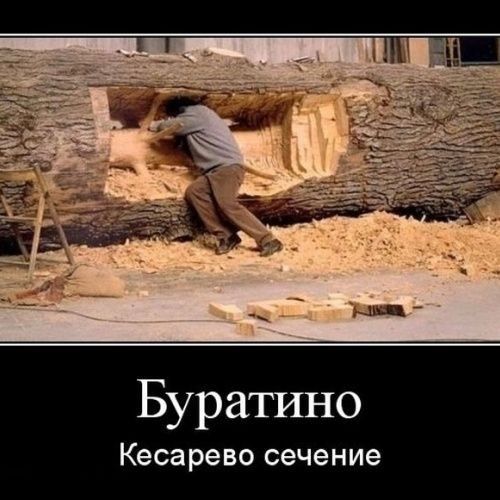 Буратино Кесарево сечение