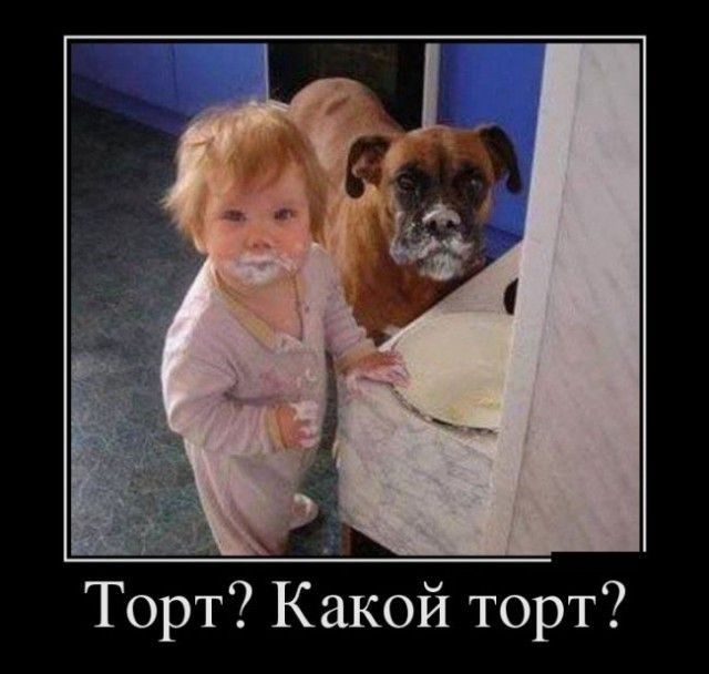 4 Торт Какой торт