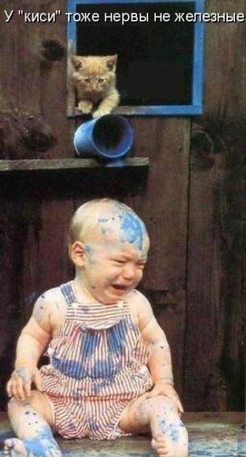 У киси тоже нервы не жапезные