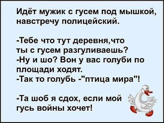 Идёт мужик с гусем под мышкой навстречу полицейский Тебе что тут деревнячто ты с гусем разгуливаешь Ну и шо Вон у вас голуби по площади ходят Так то голубь птица мира Та шоб я сдох если мой гусь войны хочет