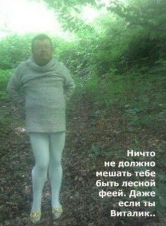 и л н ичто не должно мешать тебе бьпь лесной Феей даже если ты Вичапикц