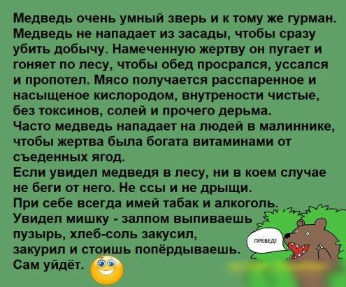 Медведь очень умный зверь и к тому же гурман Медведь не нападает из засады чтобы сразу убить добычу Намечеиную жертву он пугает и гоняет по лесу чтобы обед просрапся уссался и пропотеп Мясо получается расспаренное и насыщение кислородом внутрености чистые без токсинов солей и прочего дерьма Часто медведь нападает на людей в малиннике чтобы жертва была богата витаминами от Съеденных ягод Если увиде