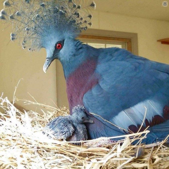 мы тв дм ид