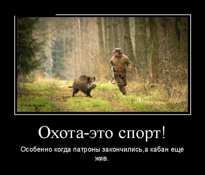 Охота это спорт Особенно когрд патроны закончилисьа кабан еще жив