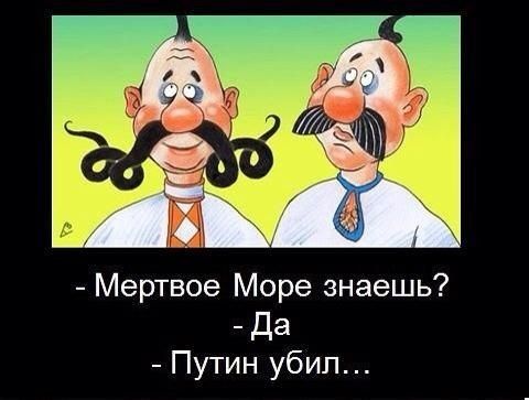 Мертвое Море знаешь _ Да Путин убил