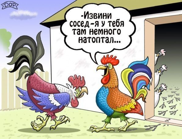 Извини сосед я У тебя там немного натоптал