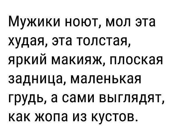 Мужики ноют мол эта худая эта толстая яркий макияж плоская задница маленькая грудь а сами выглядят как жопа из кустов
