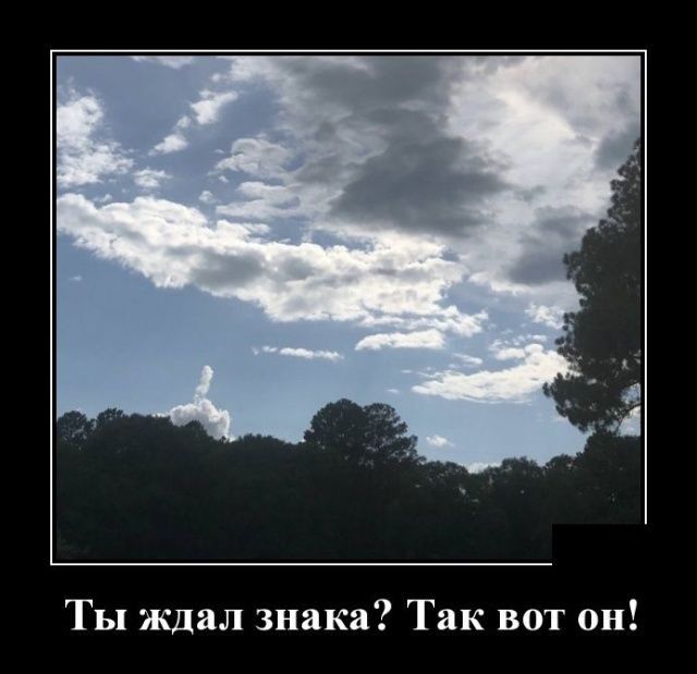 Ты ждал знака Так вот он