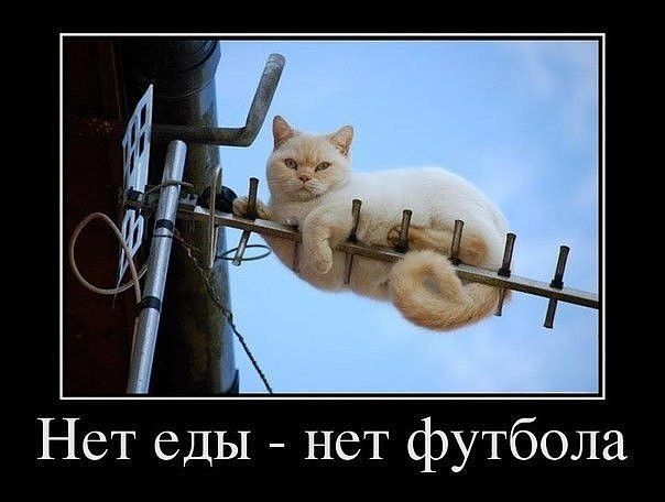 Нет еды нет футбола