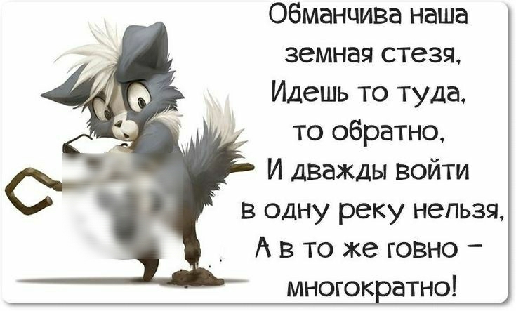 Почему все решили, что «в одну реку дважды не войти»? | Русский для чайников | Дзен