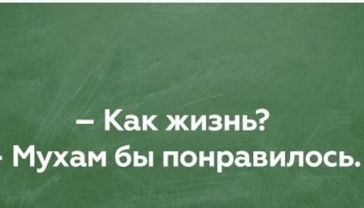 Как жизнь Мухам бы понравилось