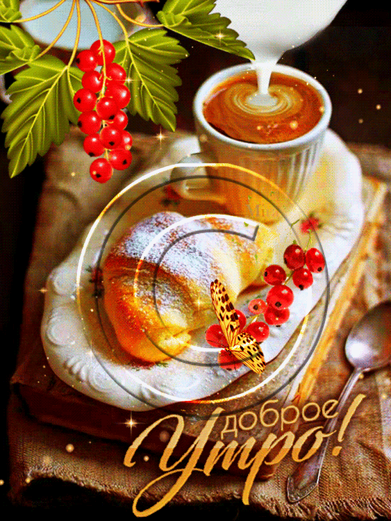 догм0 ёж у