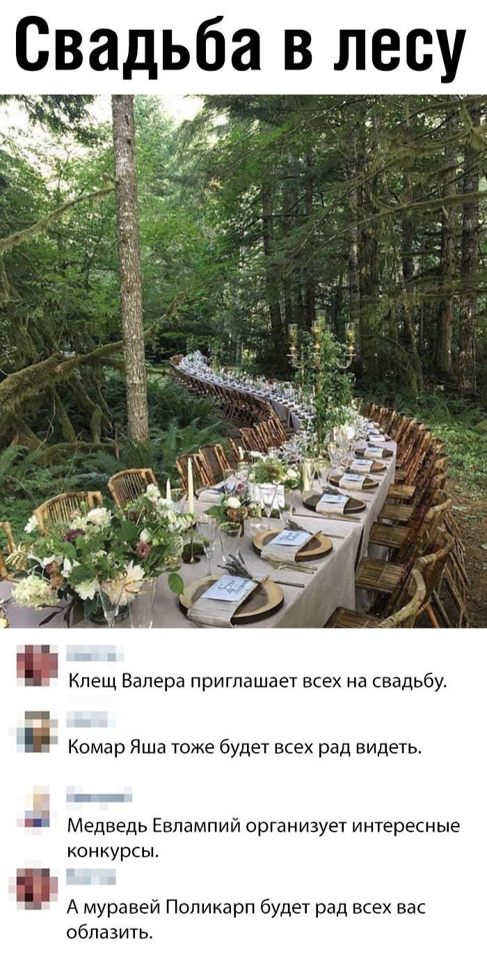 свадьба В У Клещ Валера приглашает всех на свадьбу і Комар Яша тоже будет всех рад видеть 3 Медведь Евлампии организует интересные конкурсы А муравей Поликарп будет рад всех вас облазить