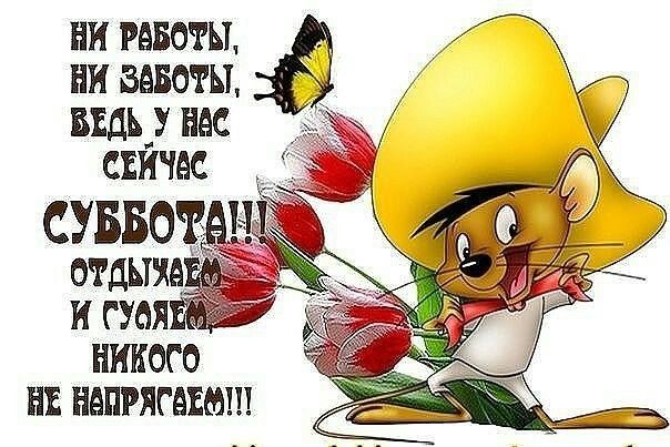 НИ РББОРЫ НИ ВАВОШ ВЕДЬ НАС СЕИШС НИКОГО