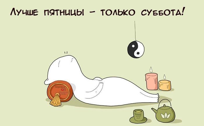 Ауцше пчтницы только суввотд