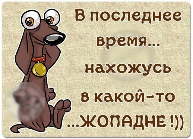 9 В последнее время нахожусь в какой то ЖОПАДНЕ