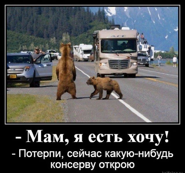пі Мам я есть хочу Потерпи сейчас какую нибудь консерву открою