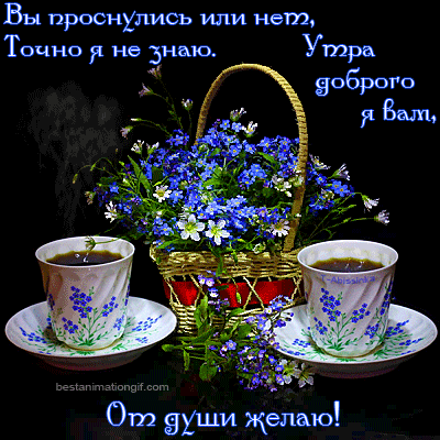 Вы проснулись или вещ От и км