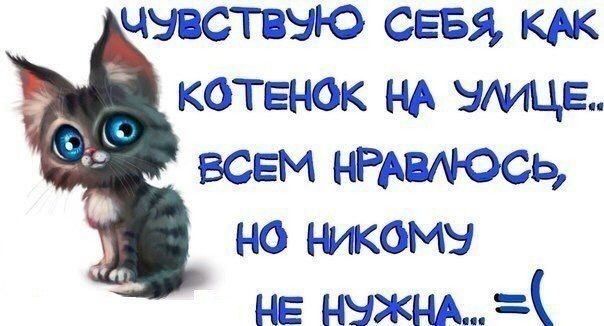 цвіёспзыю сева катана тица там НРАСЬь на никамч не ныжнхд